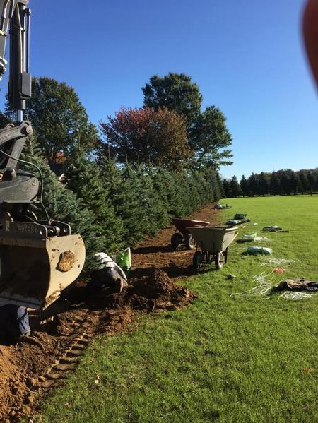 Yellow Ribbon Trucking Landscaping